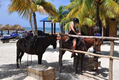Montar a caballo en una cueva nadando desde Bayahibe