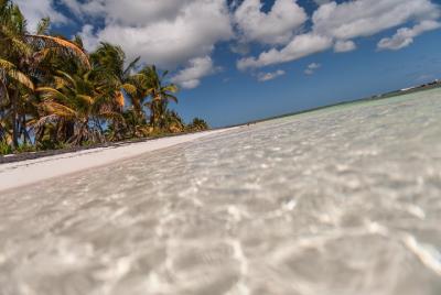 Excursión VIP por cuatro playas con almuerzo de langosta y esnórquel.