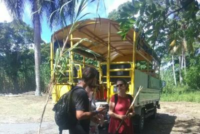 Safari - Mountain Experience