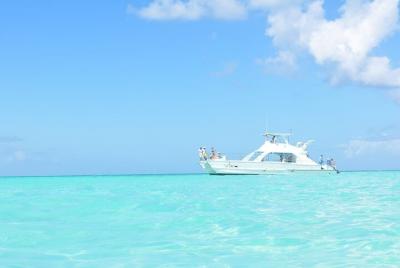Excursión de un día a Saona de 8 horas desde Bayahibe