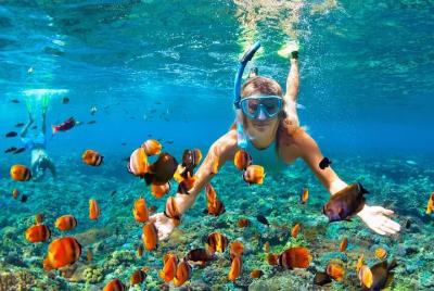 Viaje de día completo a Catalina con snorkel desde Punta Cana