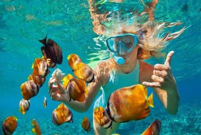 Recorrido de Día Completo a Isla Catalina con Esnórquel