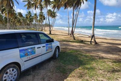 Experiencia VIP de día completo de Safari