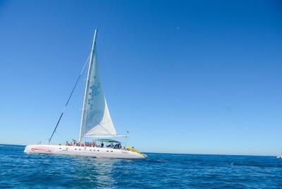 Excursión de un día a la isla Saona por Conexion Viajes