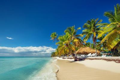 Excursión de un día a la isla Saona