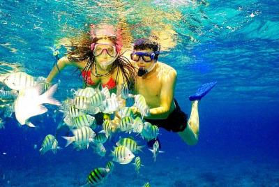 Isla Catalina y Snorkeling Tour