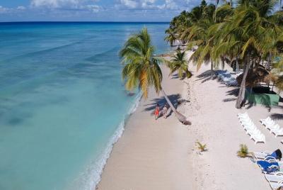 Excursión a Isla Saona en Catamarán con Almuerzo
