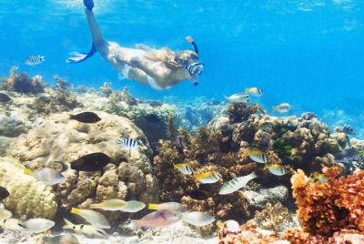 Escapada de un día a Isla Catalina con esnórquel