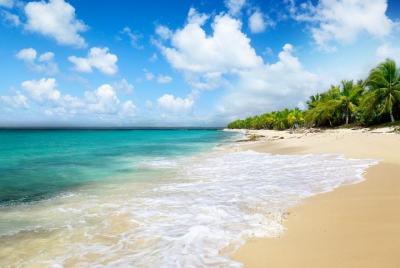 Excursión de un día en Punta Cana: Isla Catalina y Altos de Chavón