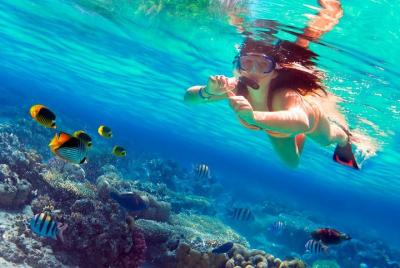 Tour a la isla Saona y Mano Juan con almuerzo, snorkel y recogida