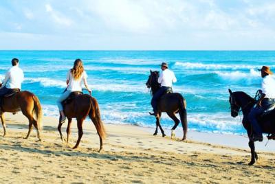Cabalgatas en la playa punta cana