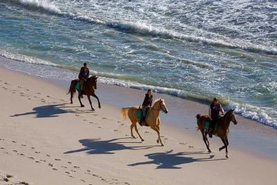 Tour a caballo desde Punta Cana