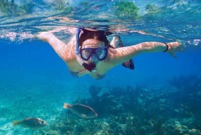 Tour a la isla Catalina con snorkel, almuerzo y baile