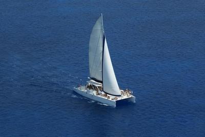 Crucero de medio día en catamarán en Punta Cana con esnórquel