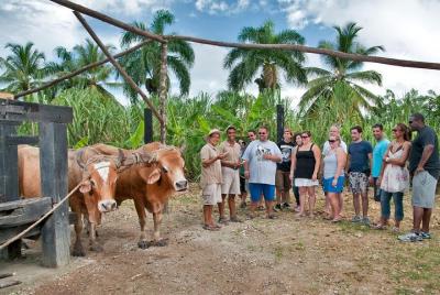 Tour de día completo Bayahibe La Romana Discovery