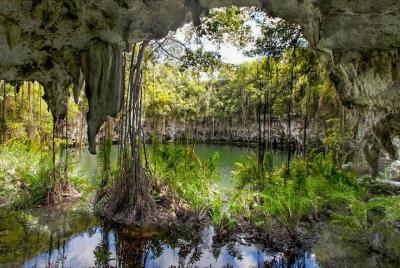 Tour por la ciudad de Santo Domingo