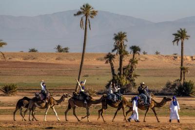 Paseo en camello Palmeraie Marrakech