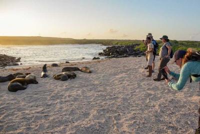 Experiencias totales en crucero de 7 días en Galápagos Experiencias totales en crucero de 7 días en Galápagos