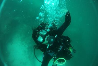 Tour diario de buceo en Gordon Rocks