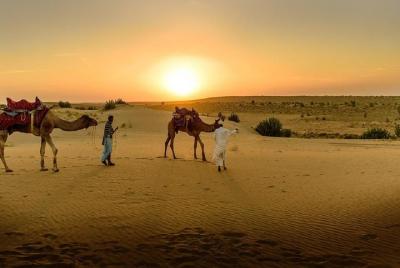 Desierto de Zagoura 2 días 1 noche incluye B & B, almuerzo, transporte, carpa, paseo en camello Desierto de Zagoura 2 días 1 noche incluye B & B, almuerzo, transporte, carpa, paseo en camello