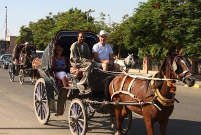 Visita a la ciudad de Asuán a caballo y en carruaje Visita a la ciudad de Asuán a caballo y en carruaje