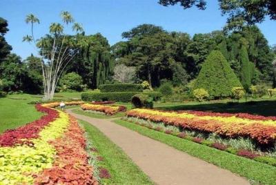 (La isla de las plantas - El pueblo de Nubia) (La isla de las plantas - El pueblo de Nubia)