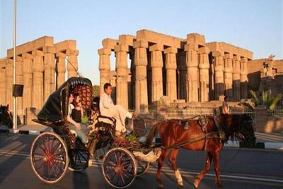 Recorrido por la ciudad de Asuán en carruaje de caballos desde 10 $