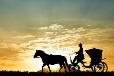 Tour privado de la ciudad de Asuán en carruaje de caballos