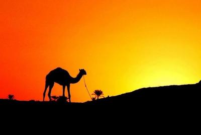 Tour de día completo de pirámides, esfinge, Saqqara y Memphis