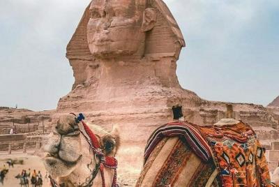 Tour de escala en El Cairo a las pirámides y el museo