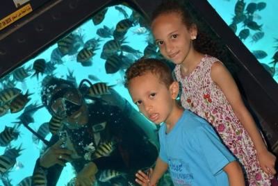 Sea Wolf Semi Submarino 3 Horas Con Esnórquel