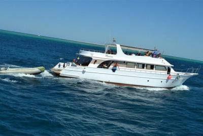 Arrecife de delfines