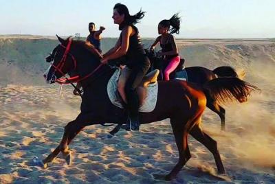 Una hora a caballo o en camello - Sharm El Sheikh Una hora a caballo o en camello - Sharm El Sheikh