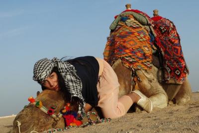 Paseo en camello de una hora en el increíble desierto con traslado - Sharm El Sheikh Paseo en camello de una hora en el increíble desierto con traslado - Sharm El Sheikh