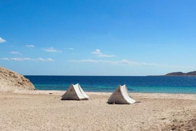 Increíble noche beduina con cena, traslado y espectáculo de paseo
