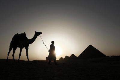 Giza Pyramids, Sakkara y Memphis American Agent con A / C Private