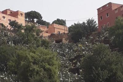 DESCUBRIENDO AGADIR Excursión al valle paradisíaco y las cataratas de Imouzer.