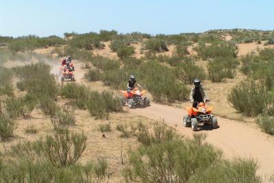 Quad Adventure: 2 horas en quad en Agadir