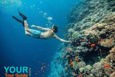 Viaje de snorkel en Orange Bay