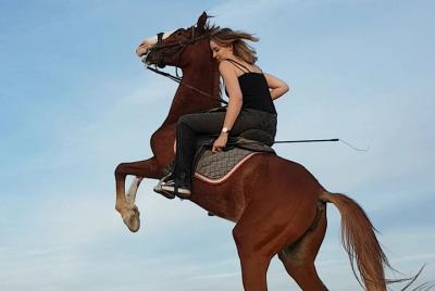 Típica noche egipcia Sunset Horse Ride & Horse Dancing & BBQ Dinn