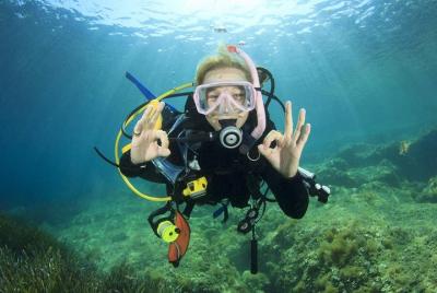 Excursión de un día completo de buceo profesional con 2 paradas -