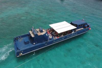 Submarino lobo marino