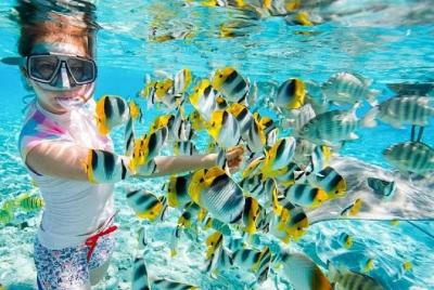  Viaje de esnórquel a la isla Giftun con almuerzo