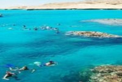 Excursión de esnórquel en el Mar Rojo de El Gouna