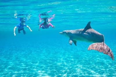 Dolphin House Royal VIP Sea Trip Comida de mar Almuerzo y masaje 