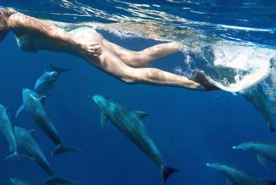 Tour de snorkel a la casa de delfines