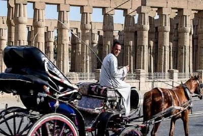 recorrido en carruaje de caballos