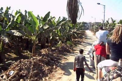 Paseo en camello en Luxor