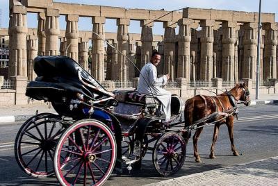 Luxor City Tour en carruaje de caballos desde Cisjordania