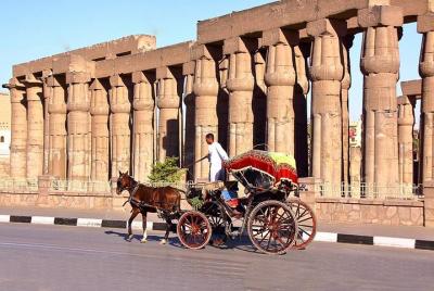 Excursión de 3 horas a la ciudad de Luxor Horse Carriage